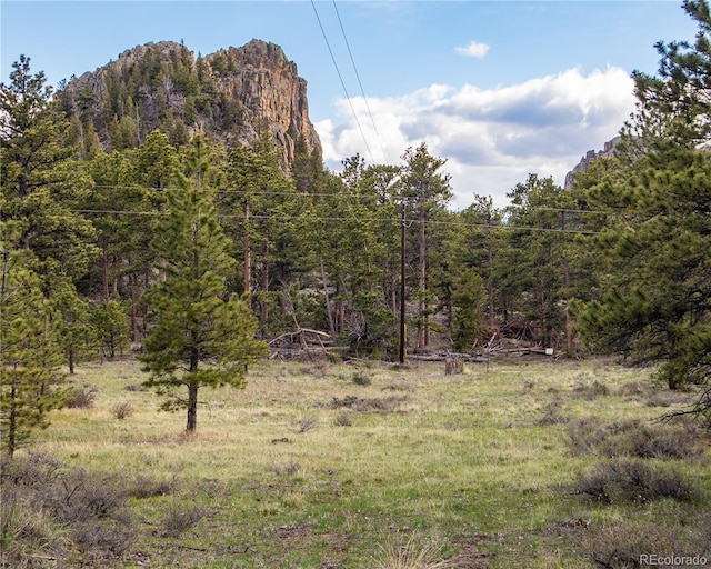 13101 N County Road 73c, Red Feather Lakes, CO 80545 - photo 30