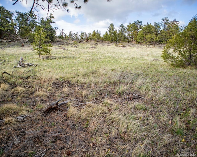 13101 N County Road 73c, Red Feather Lakes, CO 80545 - photo 32