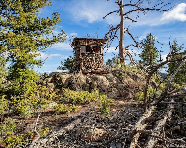 13101 N County Road 73c, Red Feather Lakes, CO 80545 - photo 34