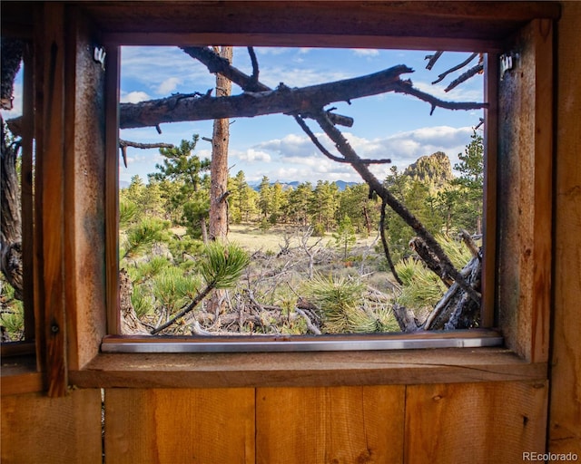 13101 N County Road 73c, Red Feather Lakes, CO 80545 - photo 35