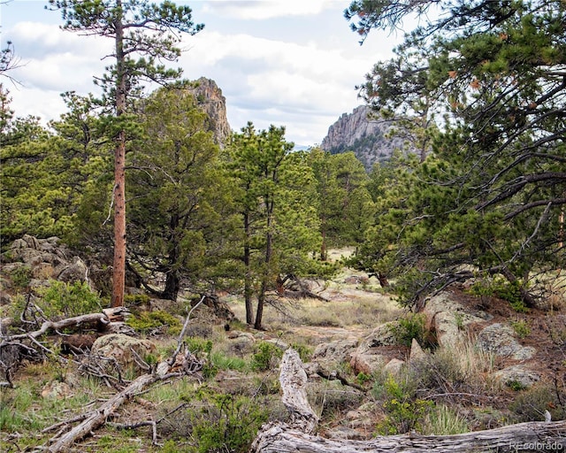 13101 N County Road 73c, Red Feather Lakes, CO 80545 - photo 36