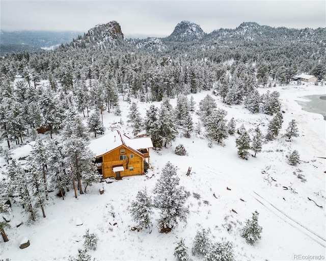 13101 N County Road 73c, Red Feather Lakes, CO 80545 - photo 48