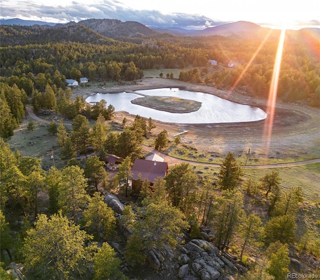 13101 N County Road 73c, Red Feather Lakes, CO 80545 - photo 50