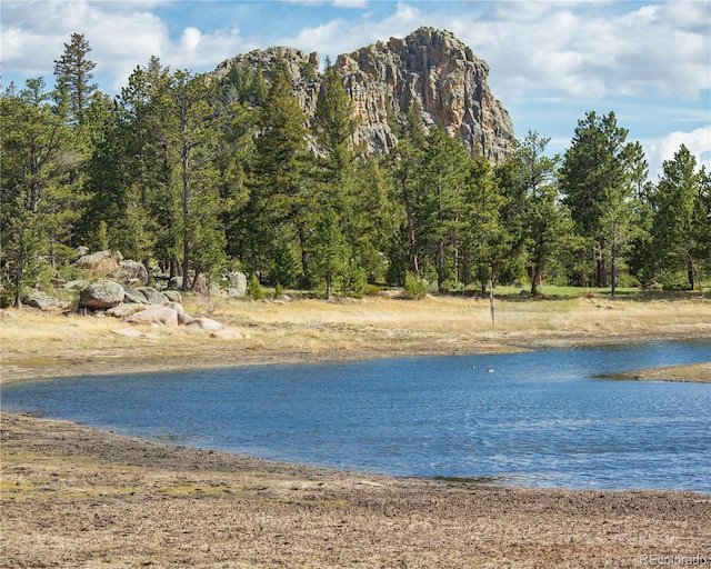13101 N County Road 73c, Red Feather Lakes, CO 80545 - photo 11
