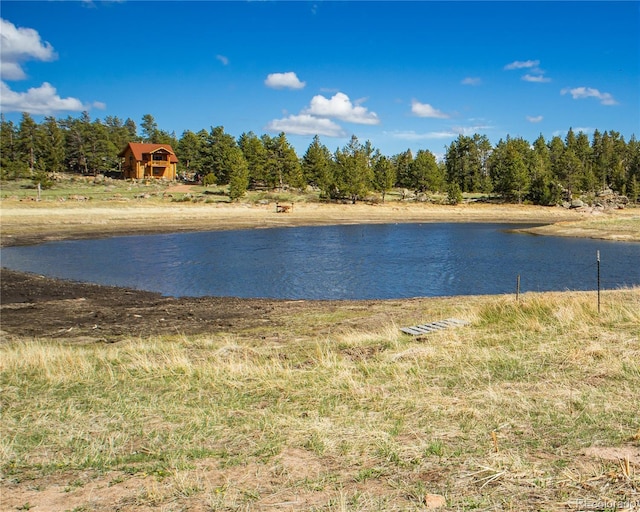 13101 N County Road 73c, Red Feather Lakes, CO 80545 - photo 12