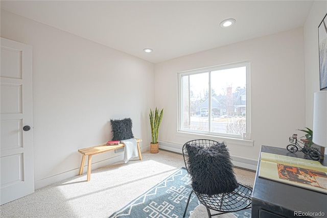 living area featuring carpet floors