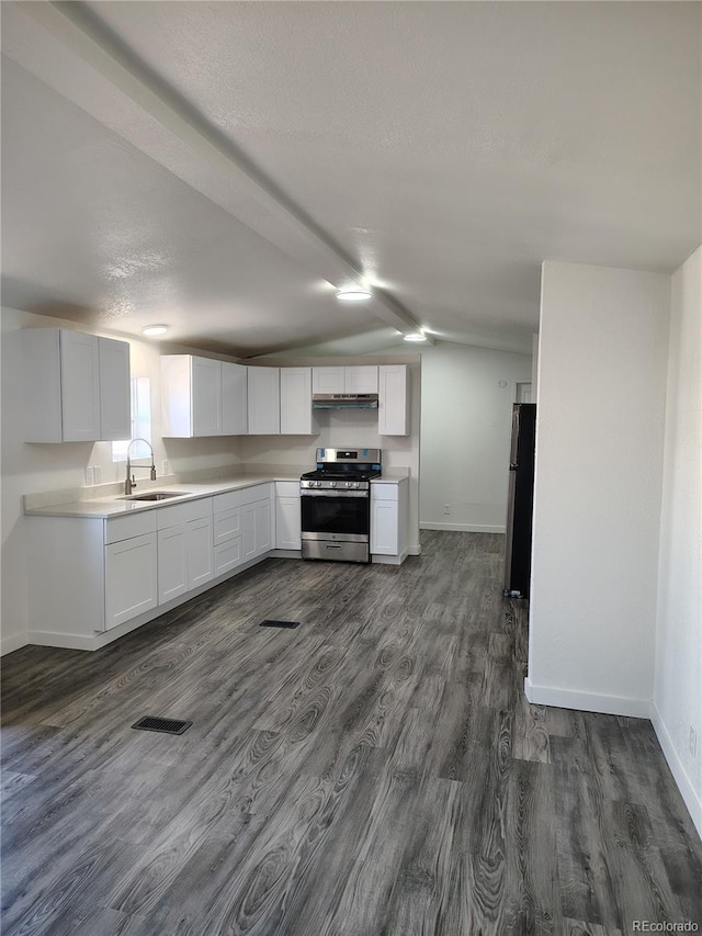 kitchen featuring dark wood-style flooring, vaulted ceiling, stainless steel appliances, under cabinet range hood, and a sink