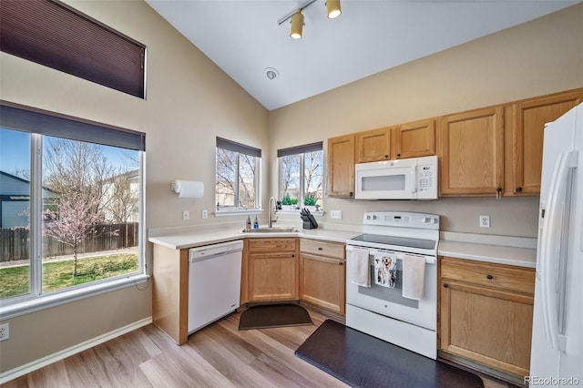 kitchen featuring light wood finished floors, light countertops, white appliances, and a sink