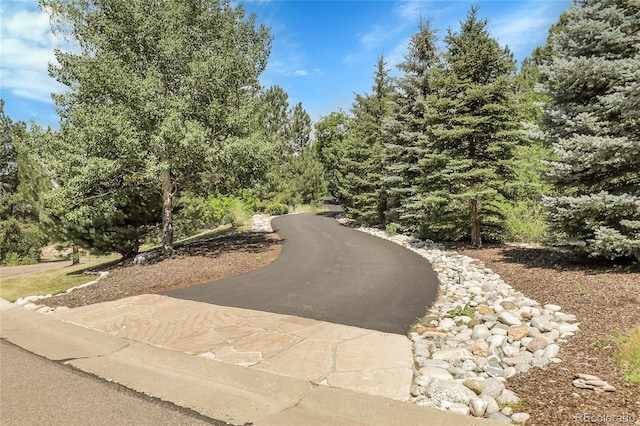 917 Dakota Dr, Castle Rock, CO 80108 - view of asphalt road
