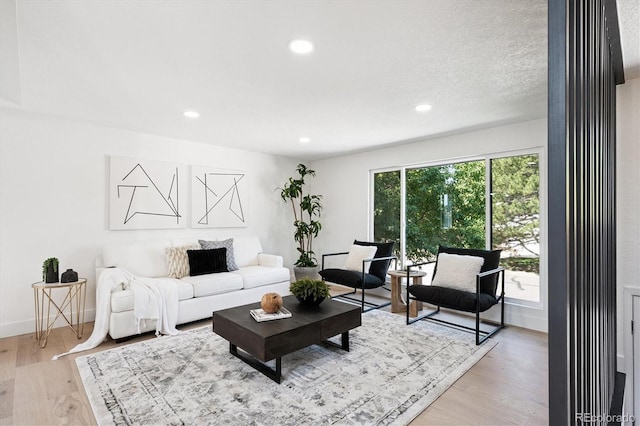 3206 S Pontiac St, Denver, CO 80224 - living area featuring recessed lighting and light wood-style floors