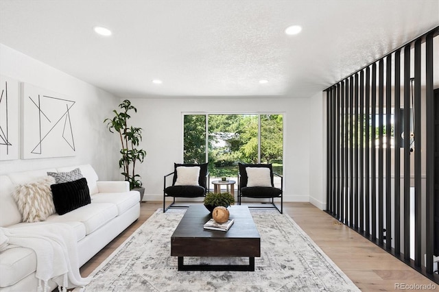 3206 S Pontiac St, Denver, CO 80224 - living area with recessed lighting and light wood-type flooring
