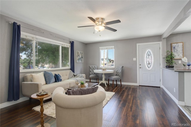 living room featuring ceiling fan and dark hardwood / wood-style flooring