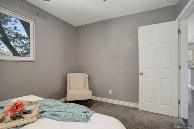 bedroom featuring carpet floors