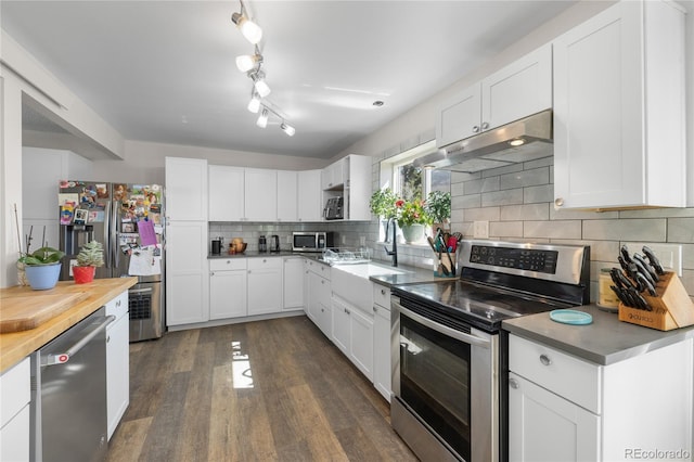 840 Mesa Dr, Silverthorne, CO 80498 - kitchen with stainless steel appliances, under cabinet range hood, tasteful backsplash, dark wood-style floors, and a sink