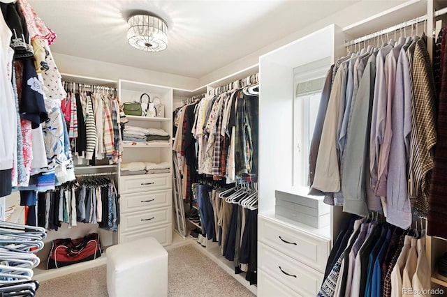7724 Kryptonite Ln, Castle Rock, CO 80108 - walk in closet with carpet