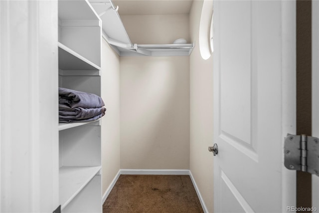 walk in closet featuring carpet floors