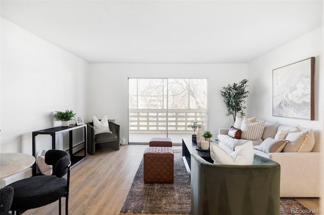 living area featuring light wood-style floors