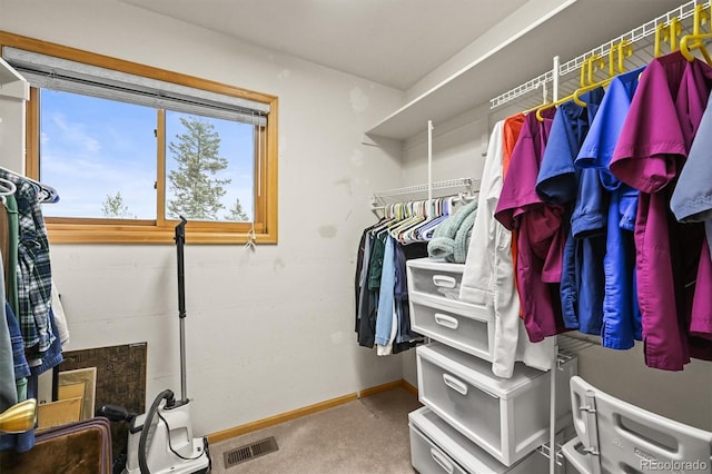29825 Kennedy Gulch Rd, Conifer, CO 80433 - spacious closet featuring carpet flooring