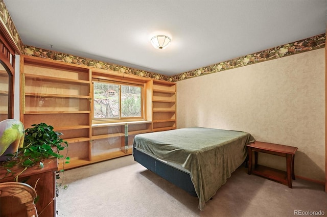 29825 Kennedy Gulch Rd, Conifer, CO 80433 - carpeted bedroom featuring billiards table