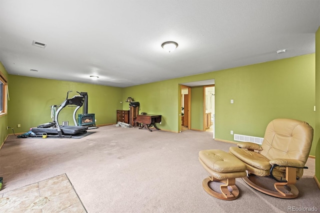 29825 Kennedy Gulch Rd, Conifer, CO 80433 - workout area featuring a wood stove, carpet, and baseboards