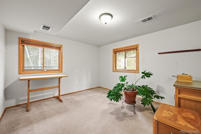 29825 Kennedy Gulch Rd, Conifer, CO 80433 - sitting room featuring carpet and baseboards