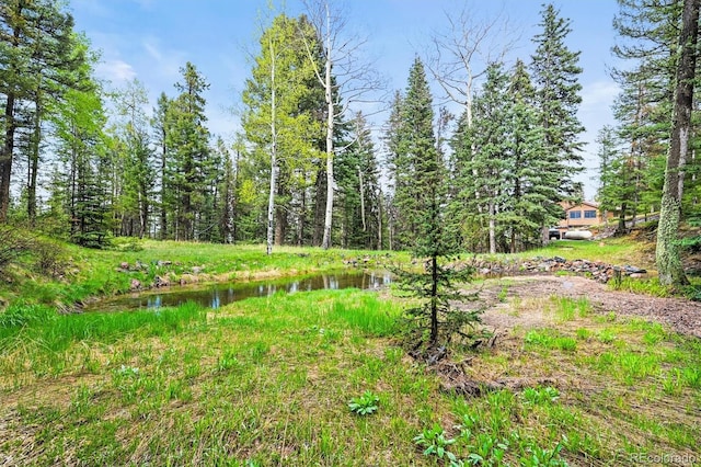 29825 Kennedy Gulch Rd, Conifer, CO 80433 - view of yard