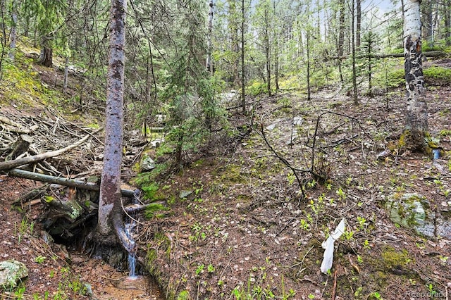 29825 Kennedy Gulch Rd, Conifer, CO 80433 - view of wooded area
