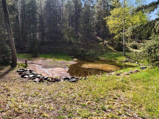 29825 Kennedy Gulch Rd, Conifer, CO 80433 - view of woods