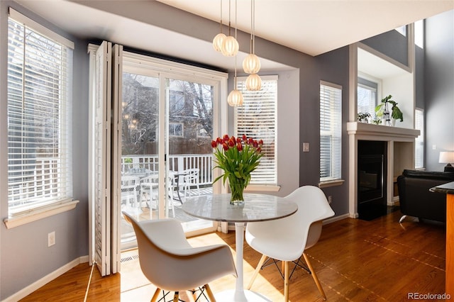 dining room featuring a glass covered fireplace, plenty of natural light, wood finished floors, and baseboards