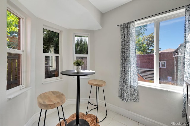 tiled dining room featuring plenty of natural light