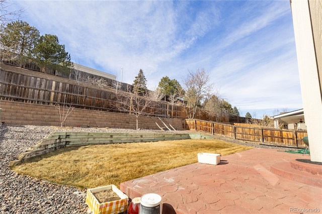 view of yard with a patio area and a fenced backyard