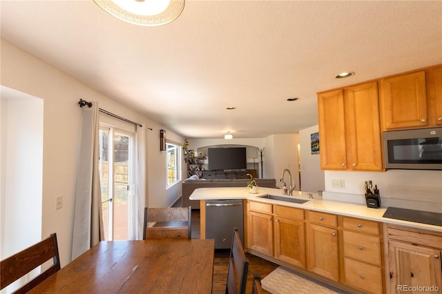 kitchen with open floor plan, a peninsula, light countertops, stainless steel appliances, and a sink