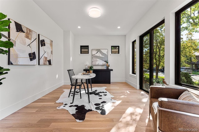 office with light wood-type flooring and plenty of natural light