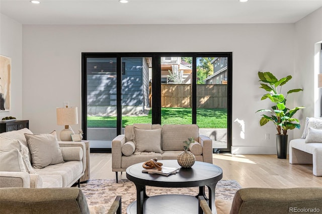 living room featuring hardwood / wood-style floors