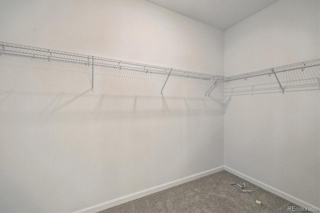 6646 N Nepal St, Aurora, CO 80019 - walk in closet featuring carpet flooring
