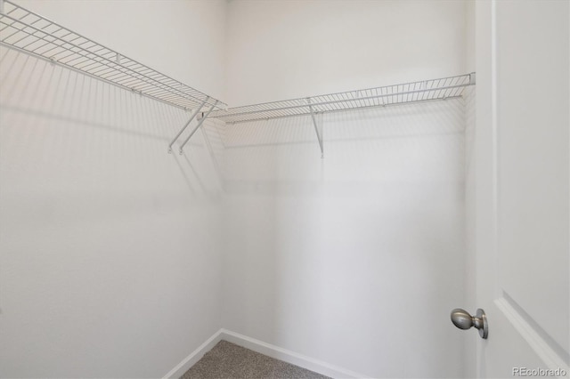 6646 N Nepal St, Aurora, CO 80019 - walk in closet with carpet flooring