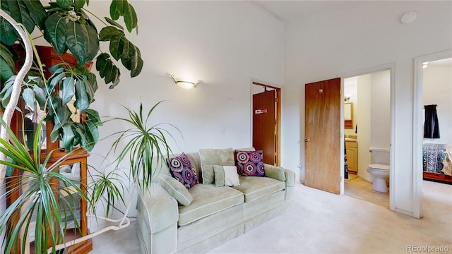 living room featuring light colored carpet