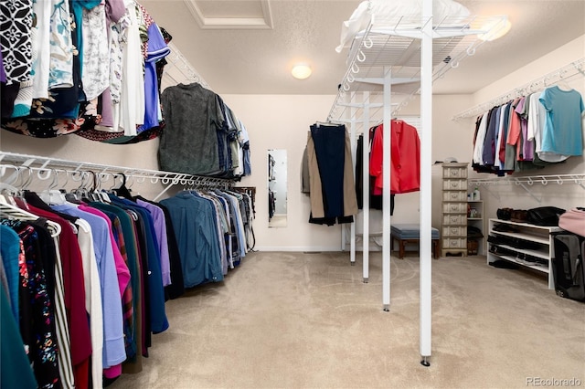 spacious closet with light carpet