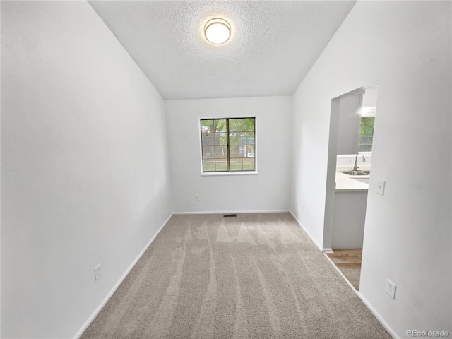 18306 E Gunnison Pl, Aurora, CO 80017 - carpeted empty room with a textured ceiling and lofted ceiling