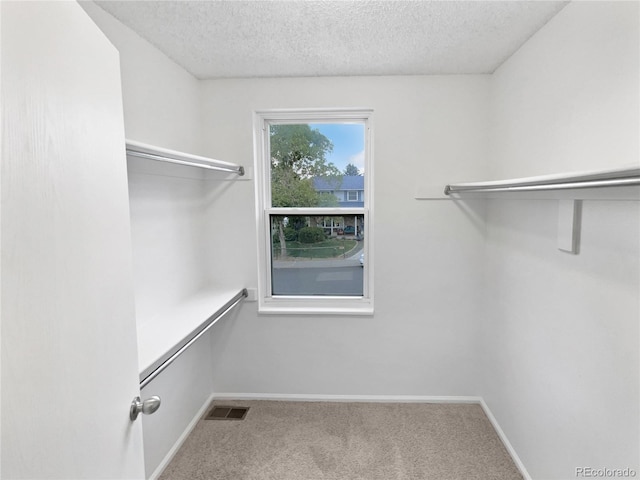 18306 E Gunnison Pl, Aurora, CO 80017 - walk in closet featuring carpet