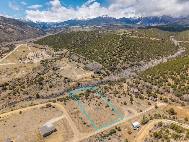 8209 Rocky Mountain Dr, Salida, CO 81201 - photo 2
