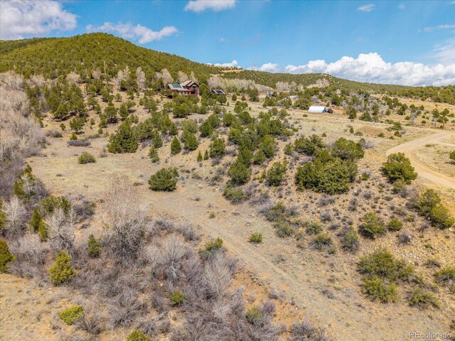 8209 Rocky Mountain Dr, Salida, CO 81201 - photo 3