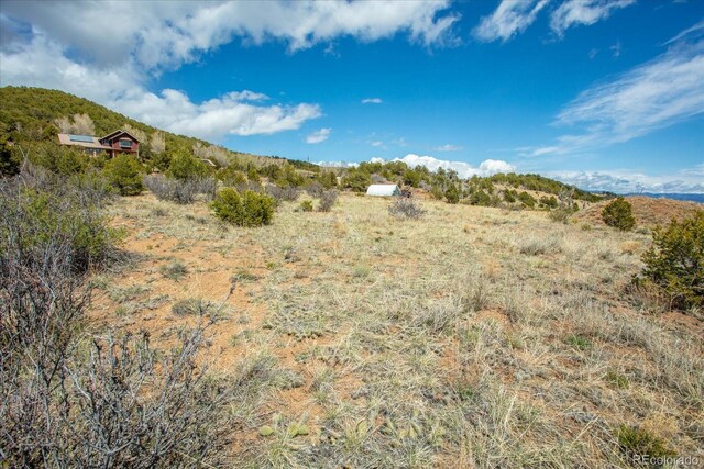 8209 Rocky Mountain Dr, Salida, CO 81201 - photo 5