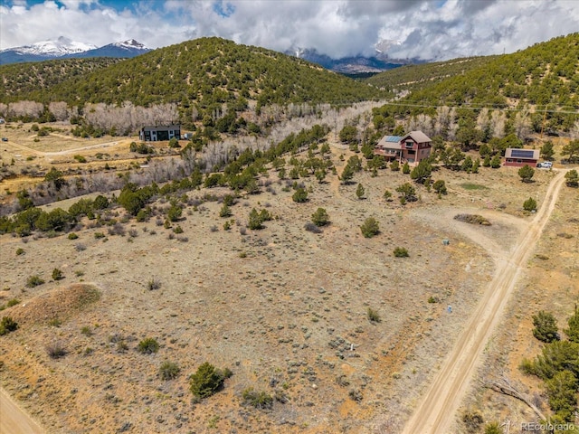 8209 Rocky Mountain Dr, Salida, CO 81201 - photo 9