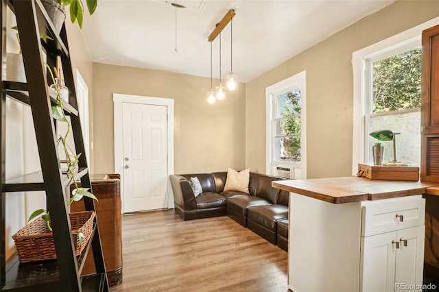 living room featuring light hardwood / wood-style floors