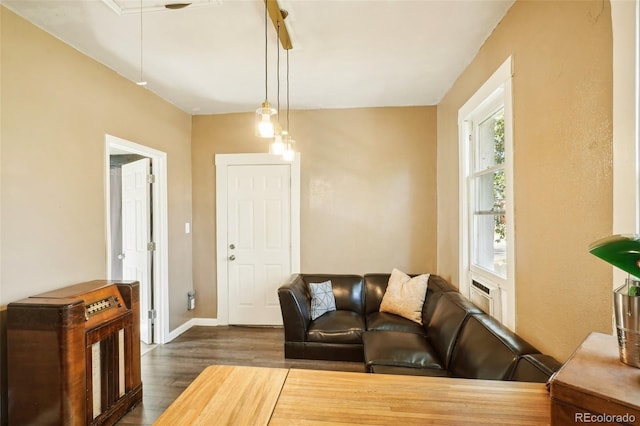 living room with dark hardwood / wood-style flooring