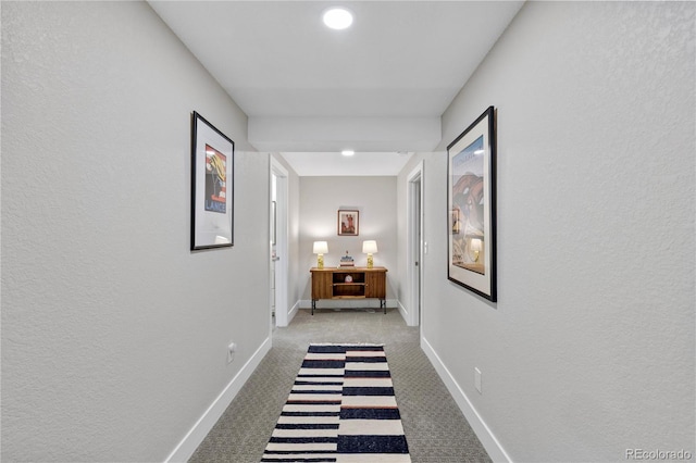 13 Pinyon Pine Rd, Littleton, CO 80127 - corridor featuring baseboards, carpet, and a textured wall