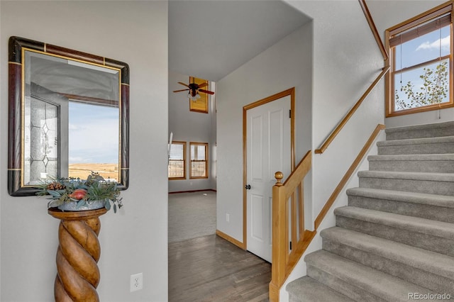 staircase with wood-type flooring, ceiling fan, and a healthy amount of sunlight