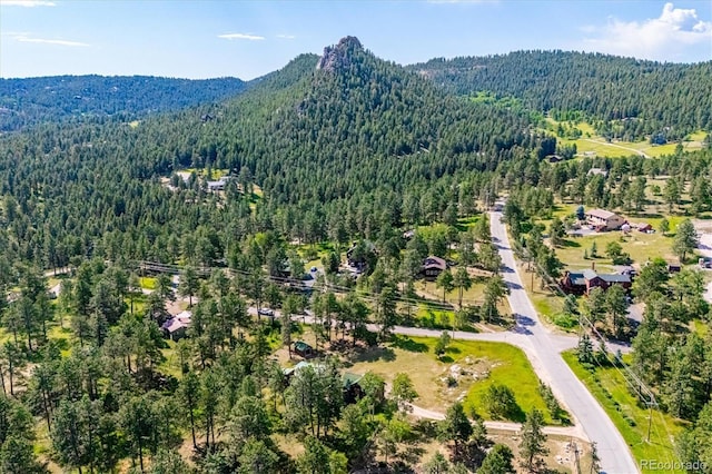 5818 S Skyline Dr, Evergreen, CO 80439 - bird's eye view of a forest and a mountain backdrop