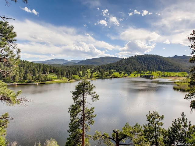 5818 S Skyline Dr, Evergreen, CO 80439 - water view featuring a forest and a mountain backdrop